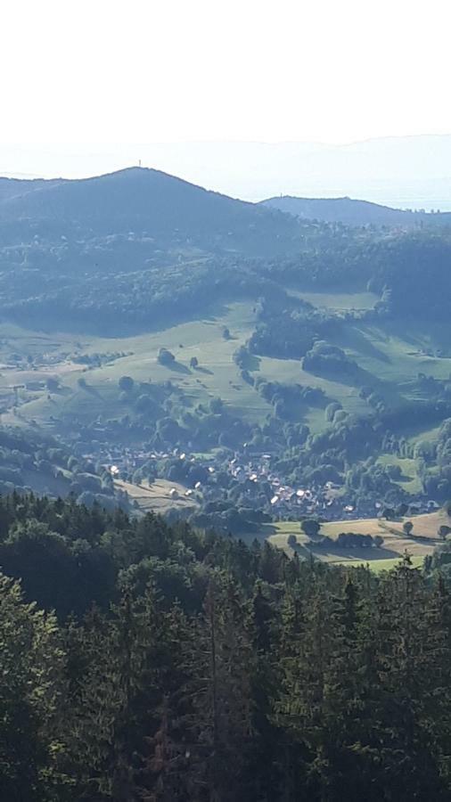 Les ô welches côté lac Orbey Exterior foto