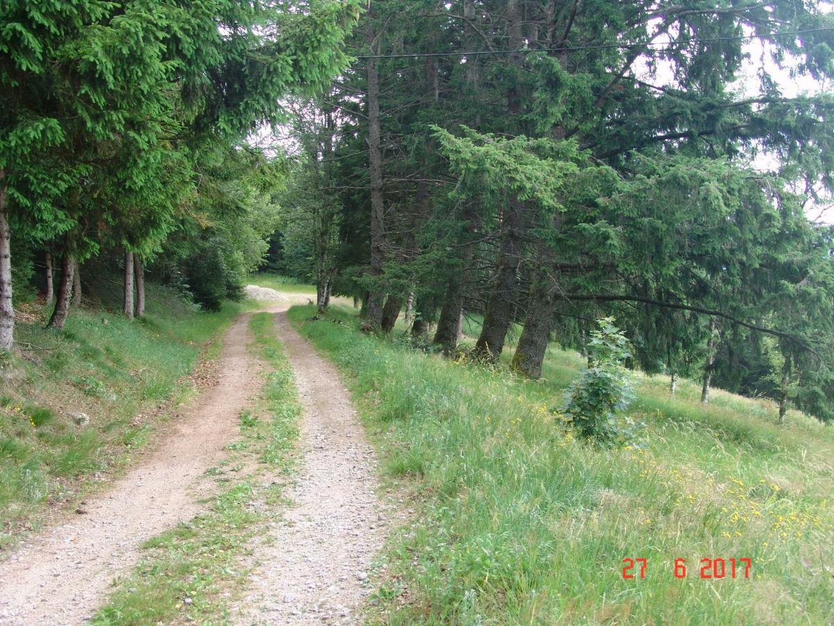 Les ô welches côté lac Orbey Exterior foto